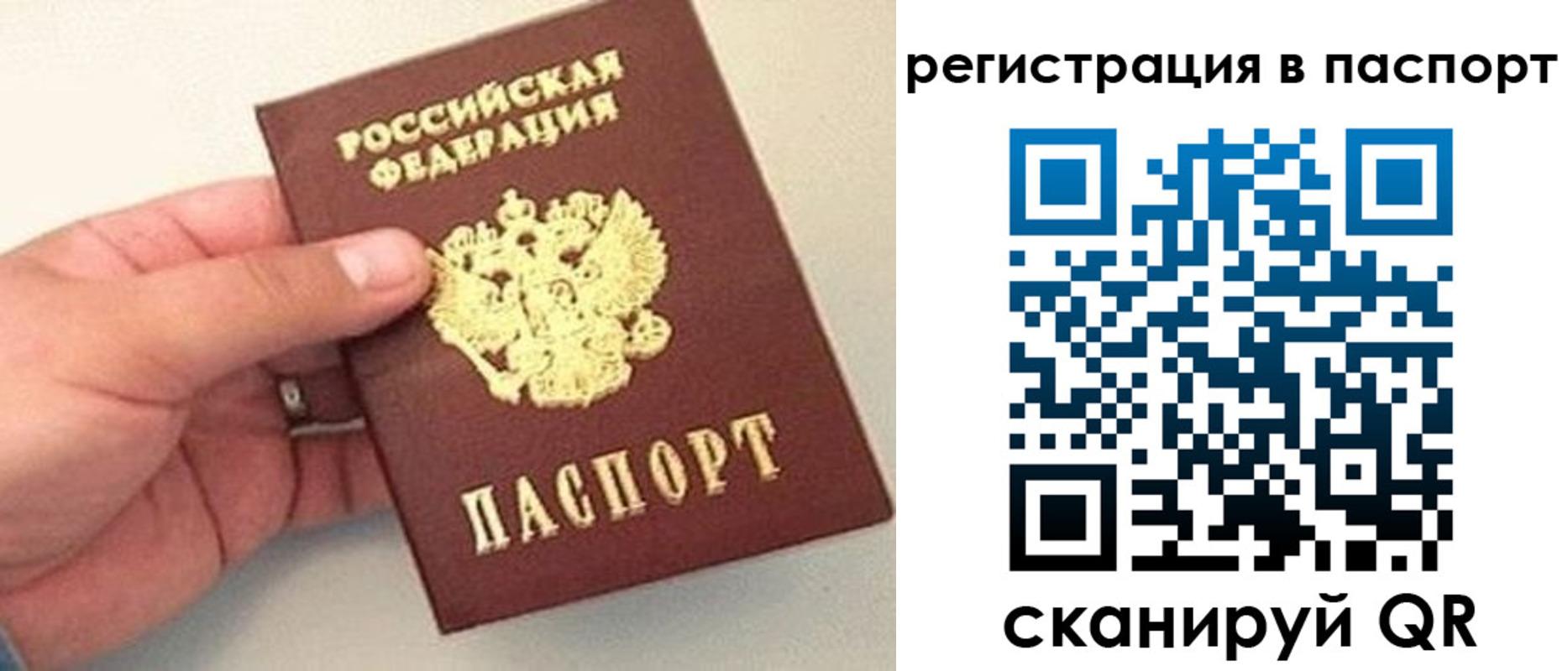 прописка законно в Жигулёвске